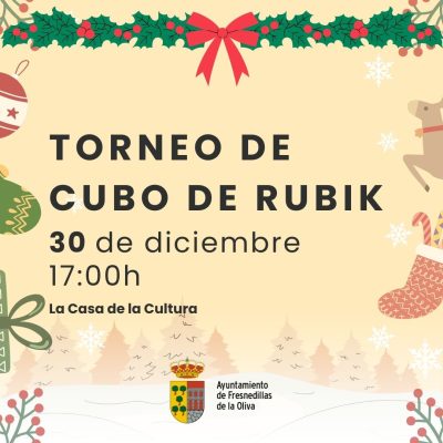Navidades suvencionadas (6)