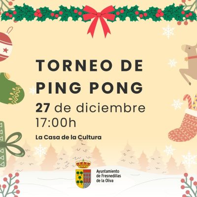 Navidades suvencionadas (7)